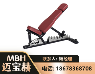 乌海可调哑铃椅